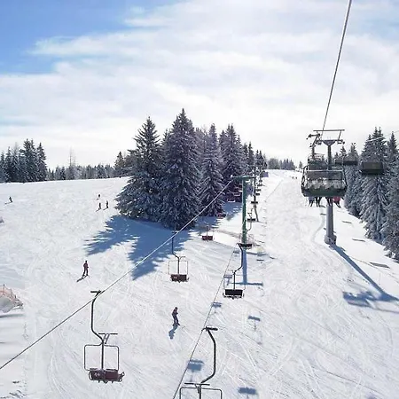 Apartmaji Zlata Lisicka Cerkno