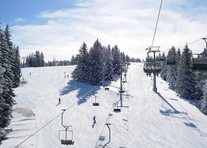 Apartmaji Zlata Lisicka ツェルクノ